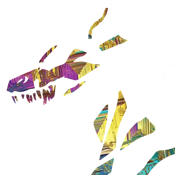 inscription 055cf9da1c62ccb8d7315ceda6fca2c2a3ebd3c6e9cd1ae2b9811e640ac7df3ei15