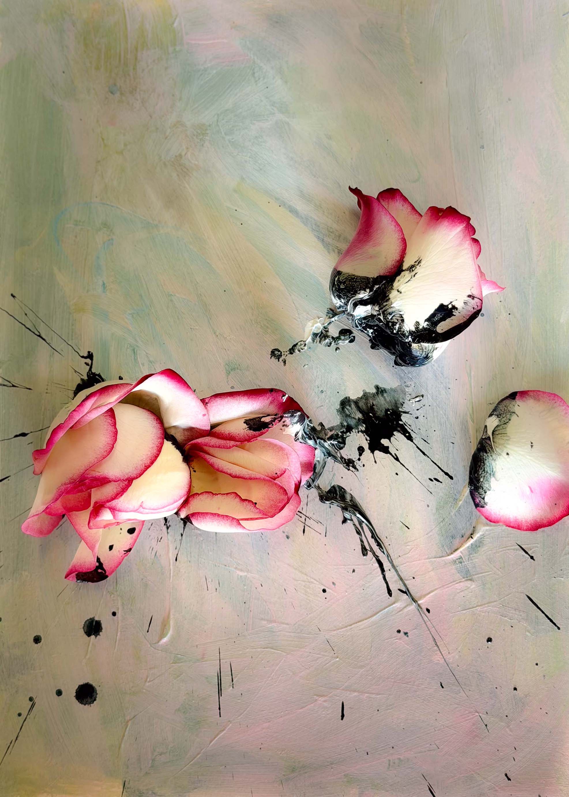 inscription 0efeaba3ef9bb5eede65df27c5f1c5a6e857942265710f81b46b3b1ae560eba0i0