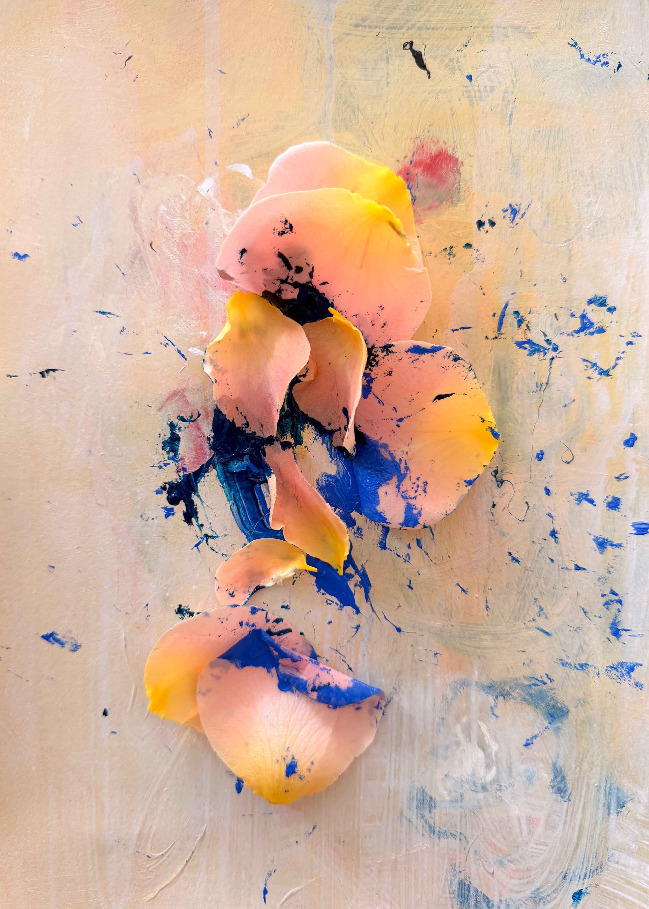 inscription 1c7b090873572c1c8a9b684f6c7f0fa03f1292db28d81afac24abc80d9eec647i0