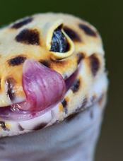 inscription 20bf56a2bdaf1093ca19ac05cd99a791f9d194868bdcd420ee42db4ced6ae8c2i0