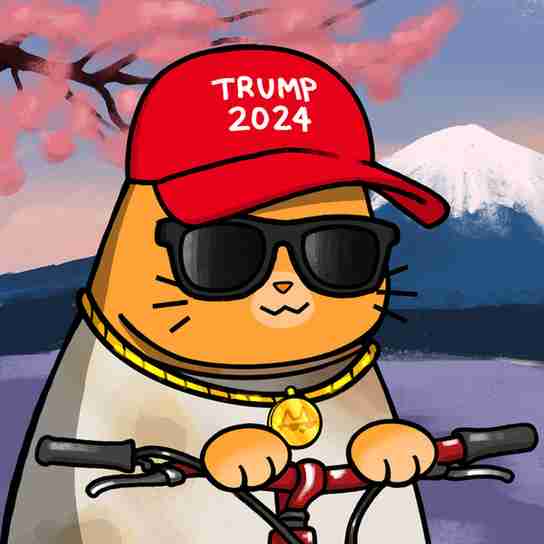 inscription 228ef26f1fc1465e36452ab322365bcdb1d695b3c0d8a66a2cd4d46bc6f0fb45i17