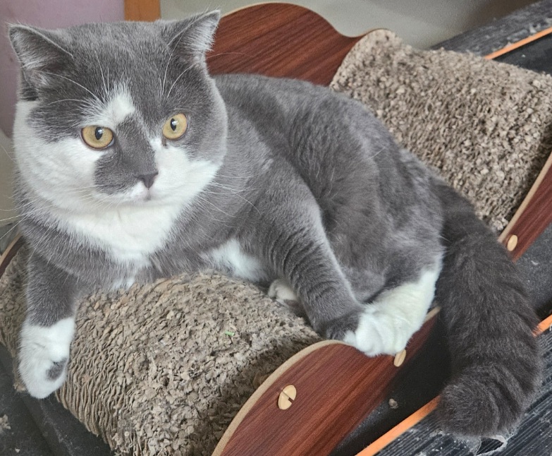 inscription 368f17d9e839ce3a2728289c382d4abcacfdd65ab3cb4f98f37bd44d3bff867ei0