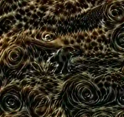 Image 21/60