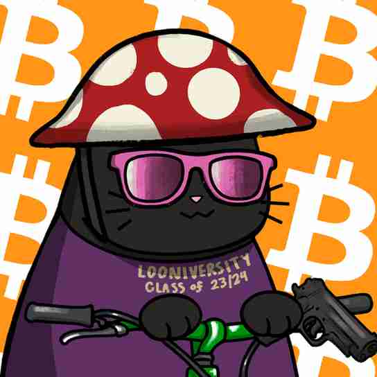 inscription 3f40cdb3d8515971d211c6d0de7f5d0a869eebf7cd76e47663736d5020ad3f86i7