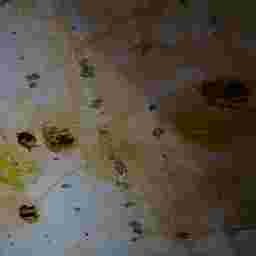 inscription 43af46c2947492c8458f388e298e3e01c93d5fa9a75e1268b82fe61c78af0626i0