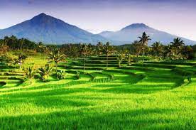 inscription 57dee79db70969cefb06ae045215da57e3bfcc35ffafbe7ae286e7a5eae9f87di0