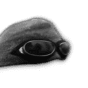 inscription 6106d1176735d1f14c6887618c6d70399191b9fe65274d7f1e579c15dcb2ffeci21