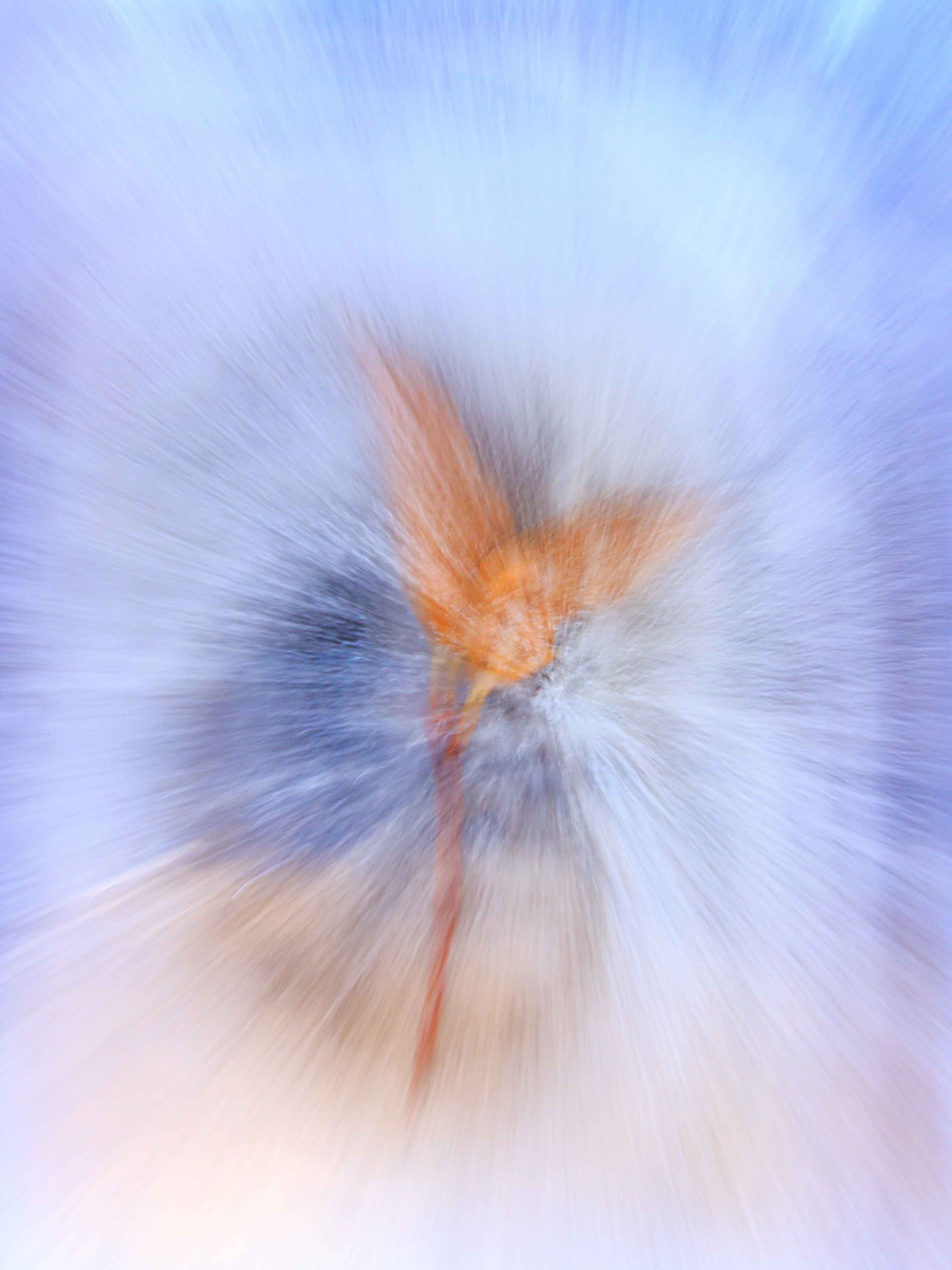 inscription 690167e86ece5cda65bb47859032701d4b8c20b7104de7c948da65ae28511ac5i0