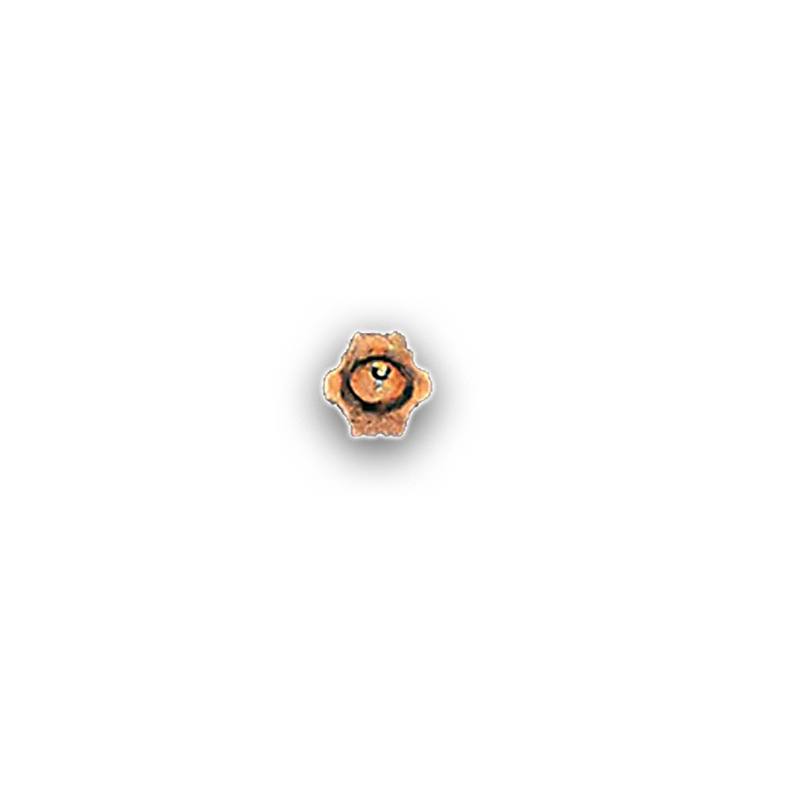 inscription 81b1d92dbfcbe27ae0637867f0a0fec4e3ed5458df10d33faf7f85d181f0e961i0