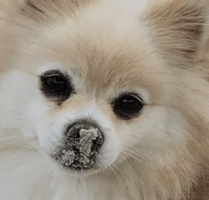 inscription aa8619ed7097c3d18819e7ca7dd30ab1c20745e72c10ba6aa3fd0ced091de135i0