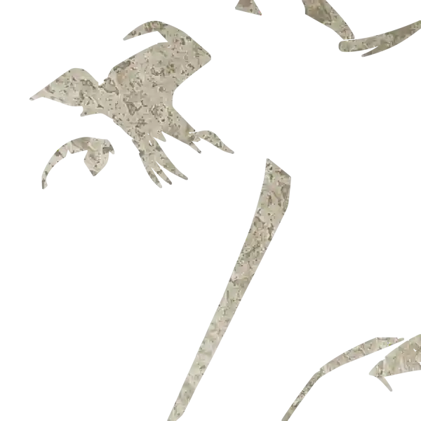 inscription b5806a7256f859974cf0c85bc6bf3f54c0daa57f9bc21c7430a5d99b4741d7c5i0