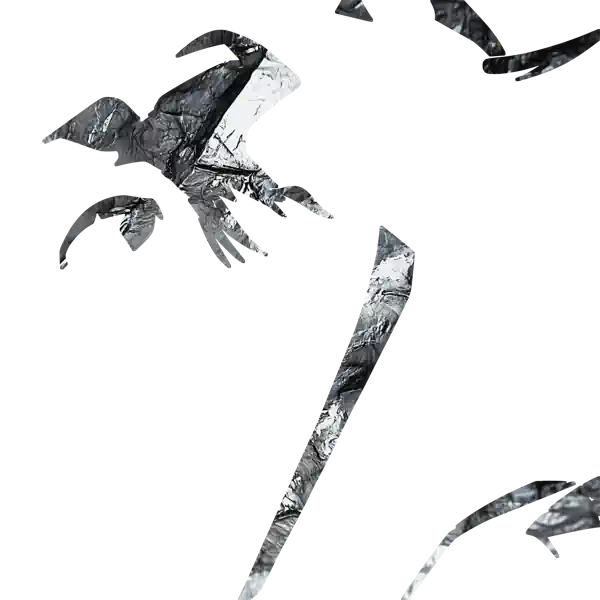 inscription b5806a7256f859974cf0c85bc6bf3f54c0daa57f9bc21c7430a5d99b4741d7c5i16