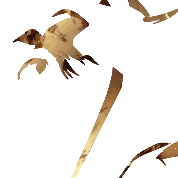 inscription b5806a7256f859974cf0c85bc6bf3f54c0daa57f9bc21c7430a5d99b4741d7c5i17