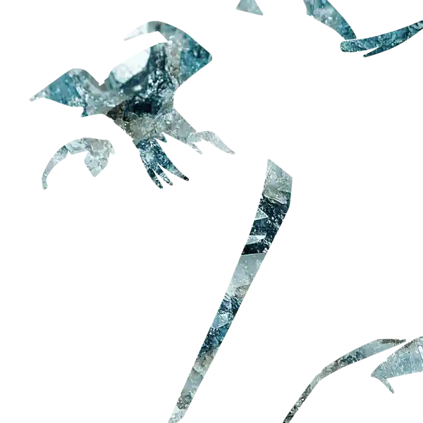 inscription b5806a7256f859974cf0c85bc6bf3f54c0daa57f9bc21c7430a5d99b4741d7c5i9