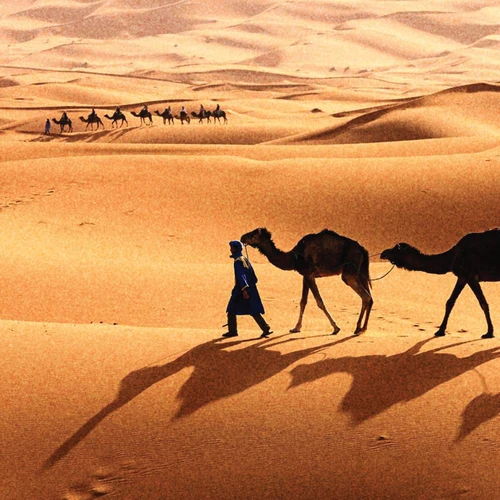 inscription be343a31dc3be085d93ed39b463c19c71649aa9d79a8a45fa4d1e9f462ca15abi2