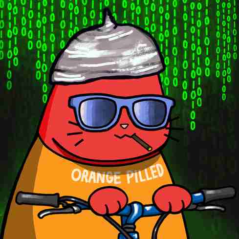 inscription bf9cf93e5ee6bffc06a840fe97fda4e042ca4bd713aa09bd3e02aa625195a7adi18