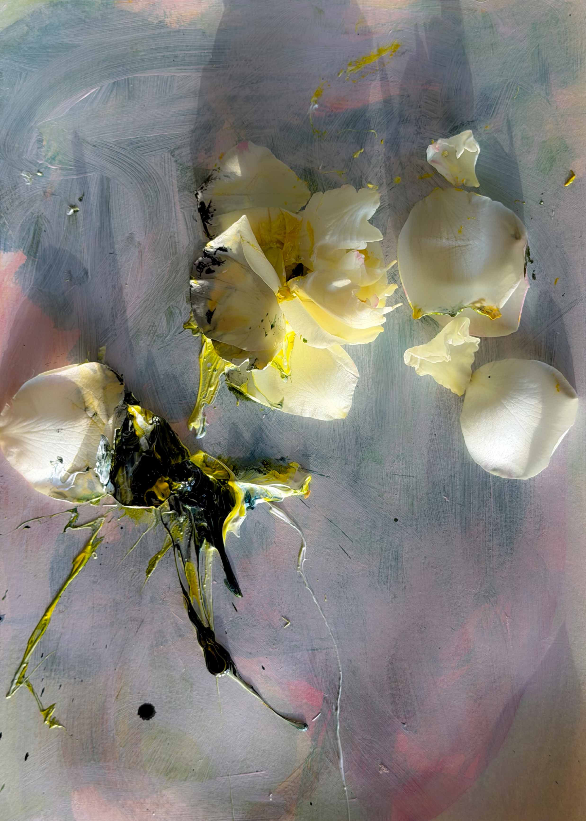 inscription c17bf6ffa92b715d7eb8d74a3c96c38310d3001ad00827b181e2a6015edbed9ci0