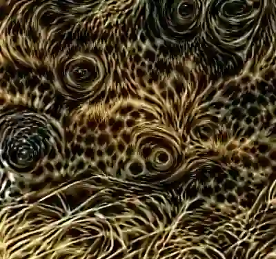 Image 31/60