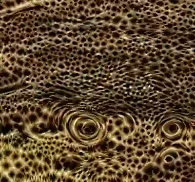 Image 38/60