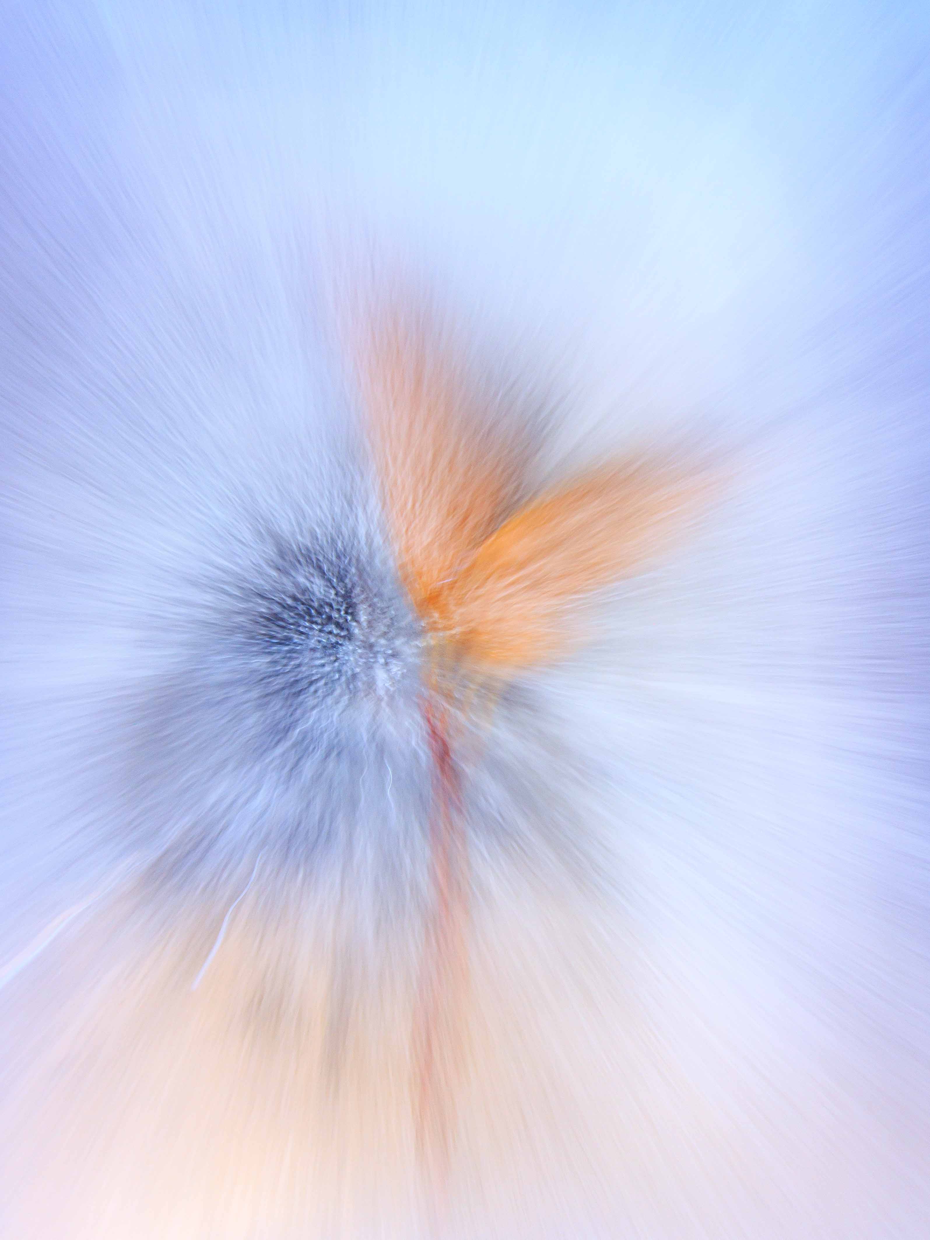 inscription d032c9c71754b58476f0ff355a8e786b1d0c7b2822fb37646098f2cb6949a18bi0