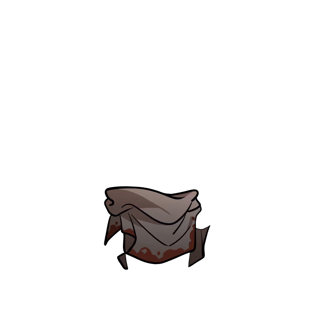 cloth