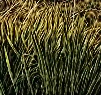 Image 54/60