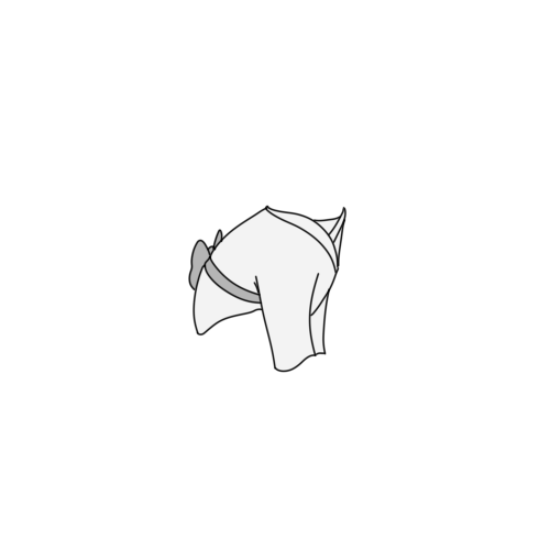 inscription f2acd3d4f3ee28cdd918ea8a2aa26c78d0c7ea7cd005f7a683835de71bd29c5bi6